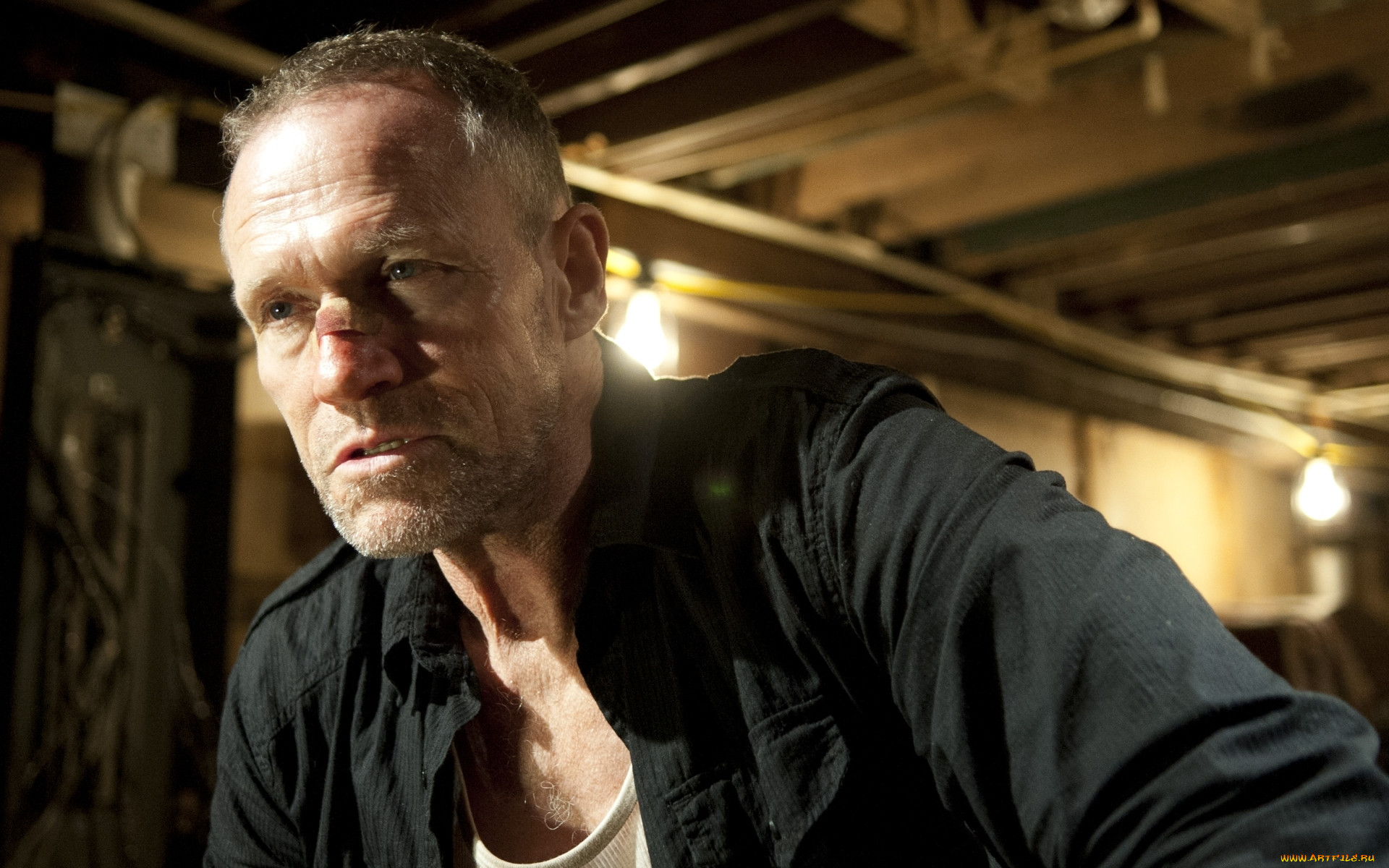  , the walking dead, , , 